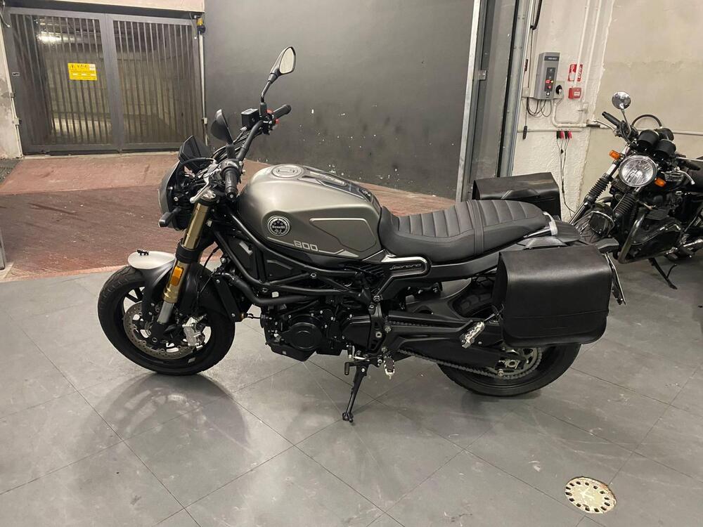 Benelli Leoncino 800 (2022 - 25)