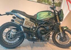 Benelli Leoncino 800 (2022 - 25) usata