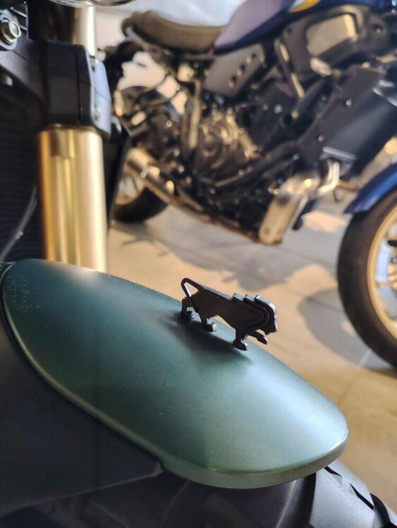 Benelli Leoncino 800 (2022 - 25) (3)