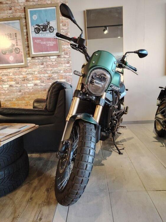 Benelli Leoncino 800 (2022 - 25) (4)