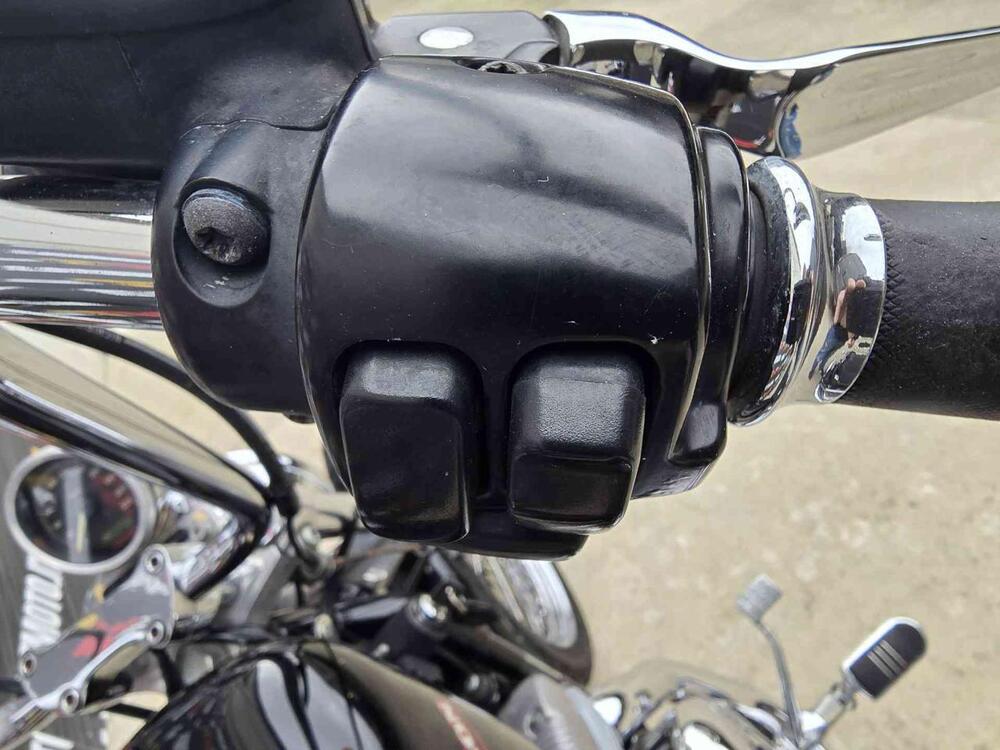 Harley-Davidson 883 Custom (2006 - 07) - XL 883C (5)