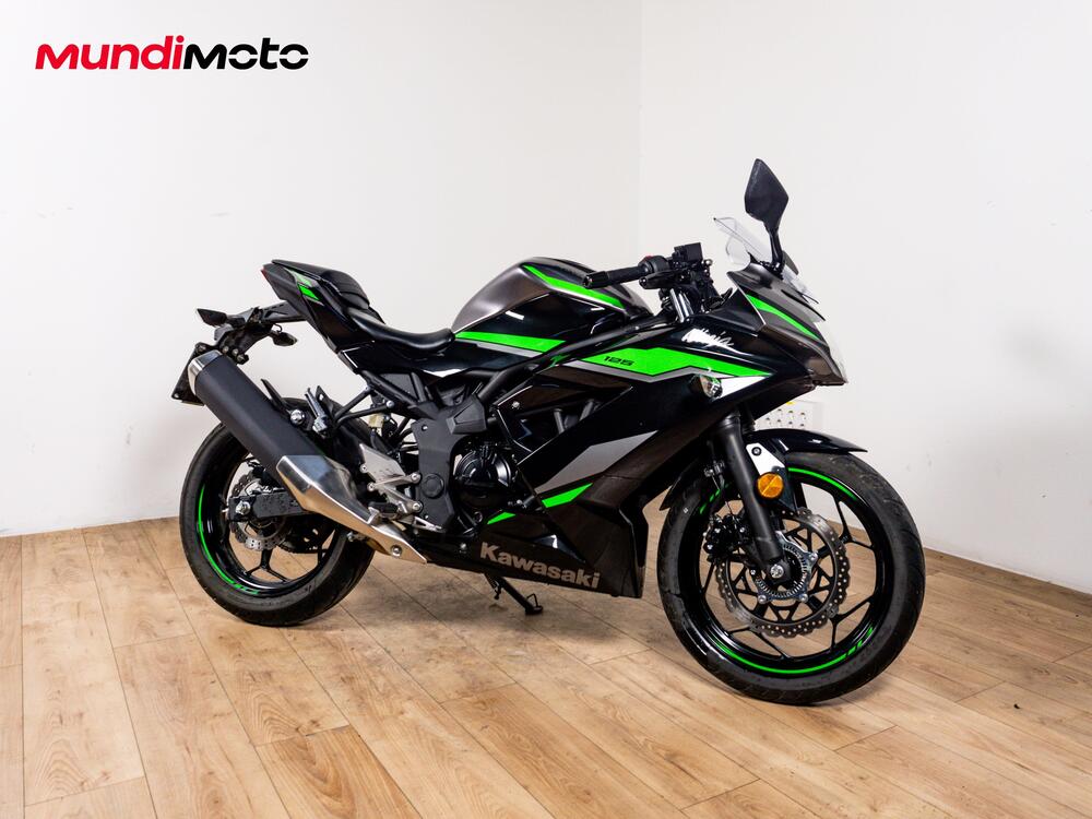 Kawasaki Ninja 125 (2019 - 20) (2)