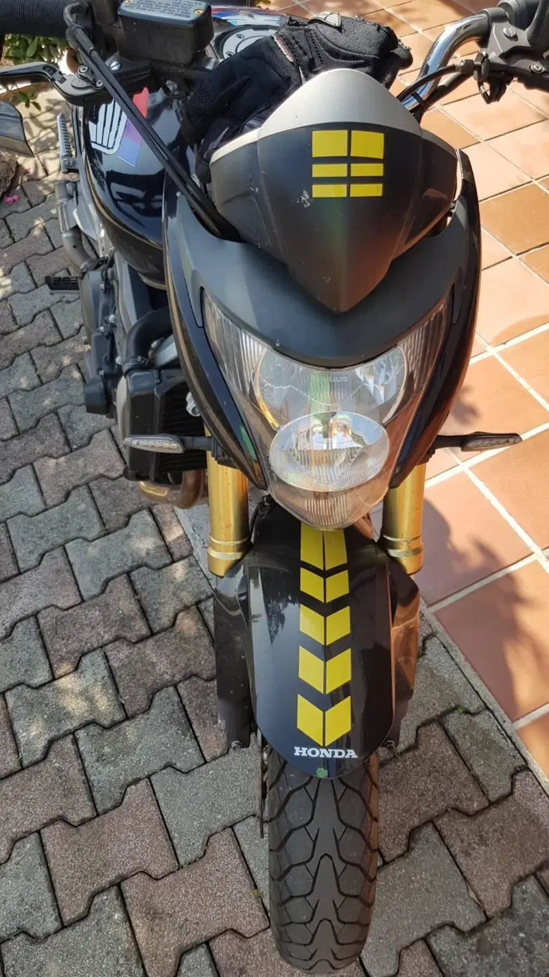 Honda Hornet 600 (2007 - 10) (3)
