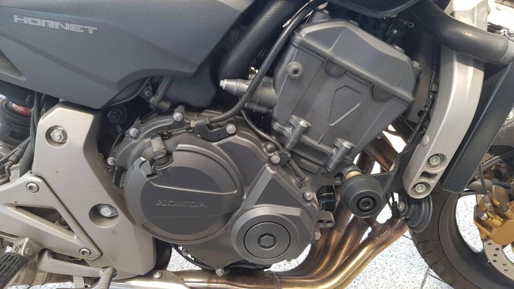 Honda Hornet 600 (2007 - 10) (5)