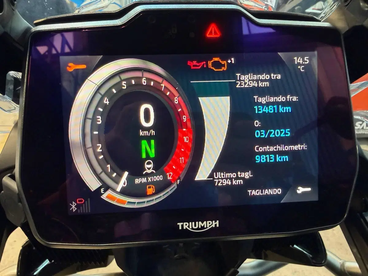 Triumph Tiger 1200 Rally Pro (2022 - 23) (7)