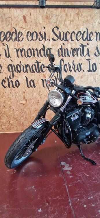 Harley-Davidson 883 R (2008 - 16) - XL 883R (4)