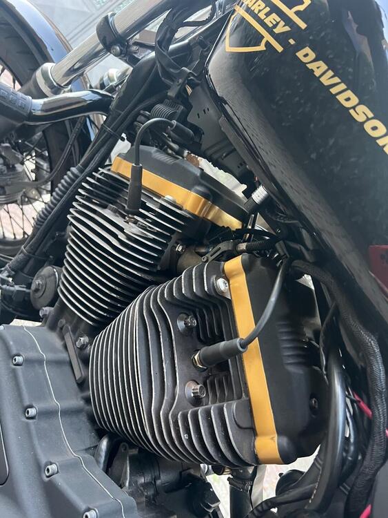 Harley-Davidson 1200 Roadster (2006 - 08) - XL 1200R (5)