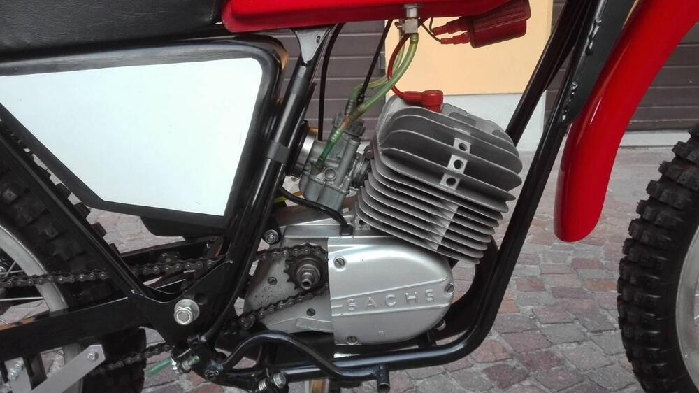 Tgm 50 Coppa Italia (4)