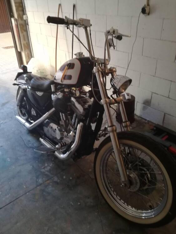 Harley-Davidson 883 (2006 - 07) - XL (2)