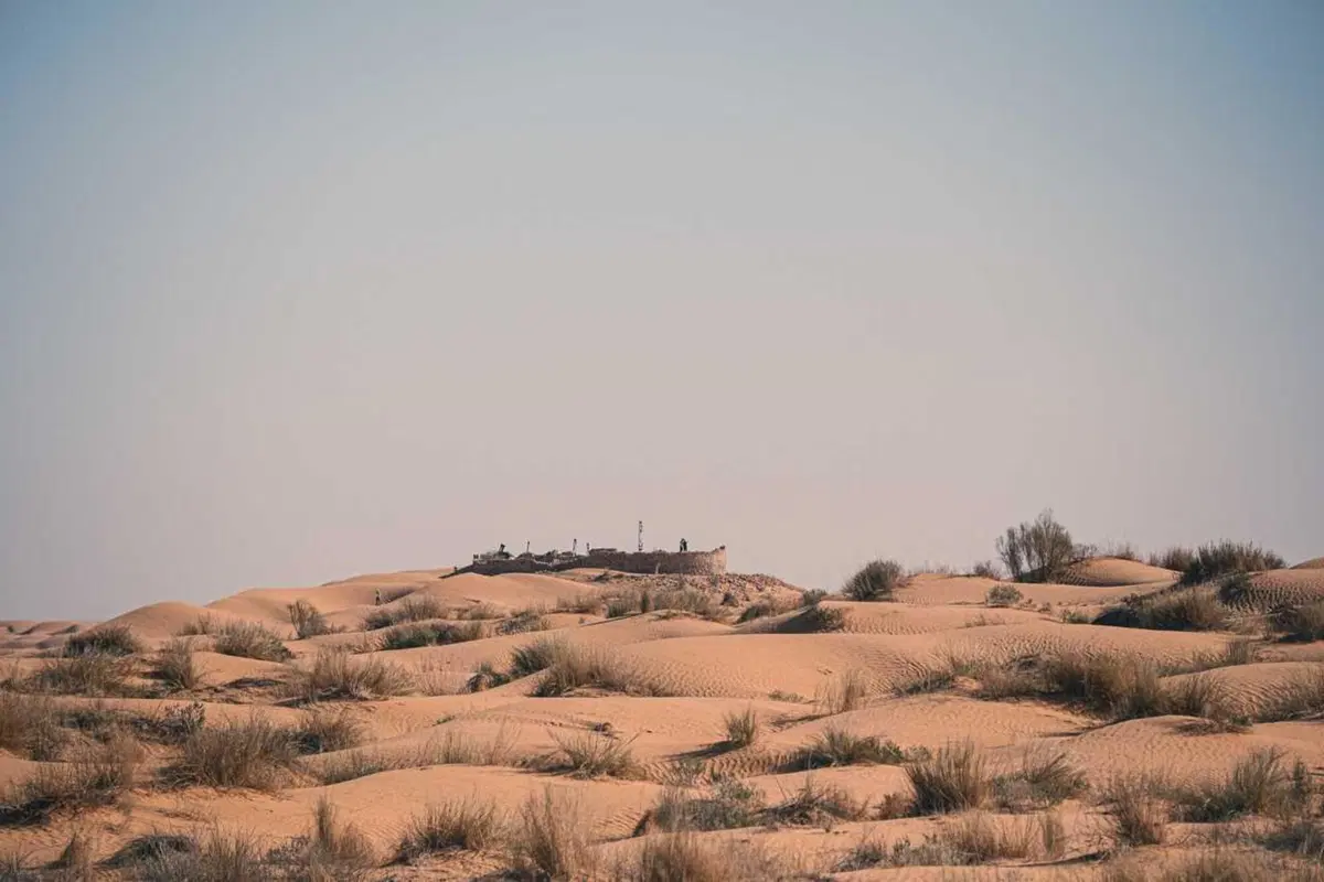 Tembaine Desert Rally 2025, terzo giorno: le dune del Parc di Jebil sconvolgono le classifiche (56)
