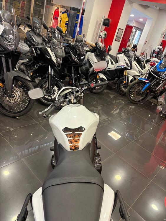 Honda Hornet 600 (2011 - 13) (2)