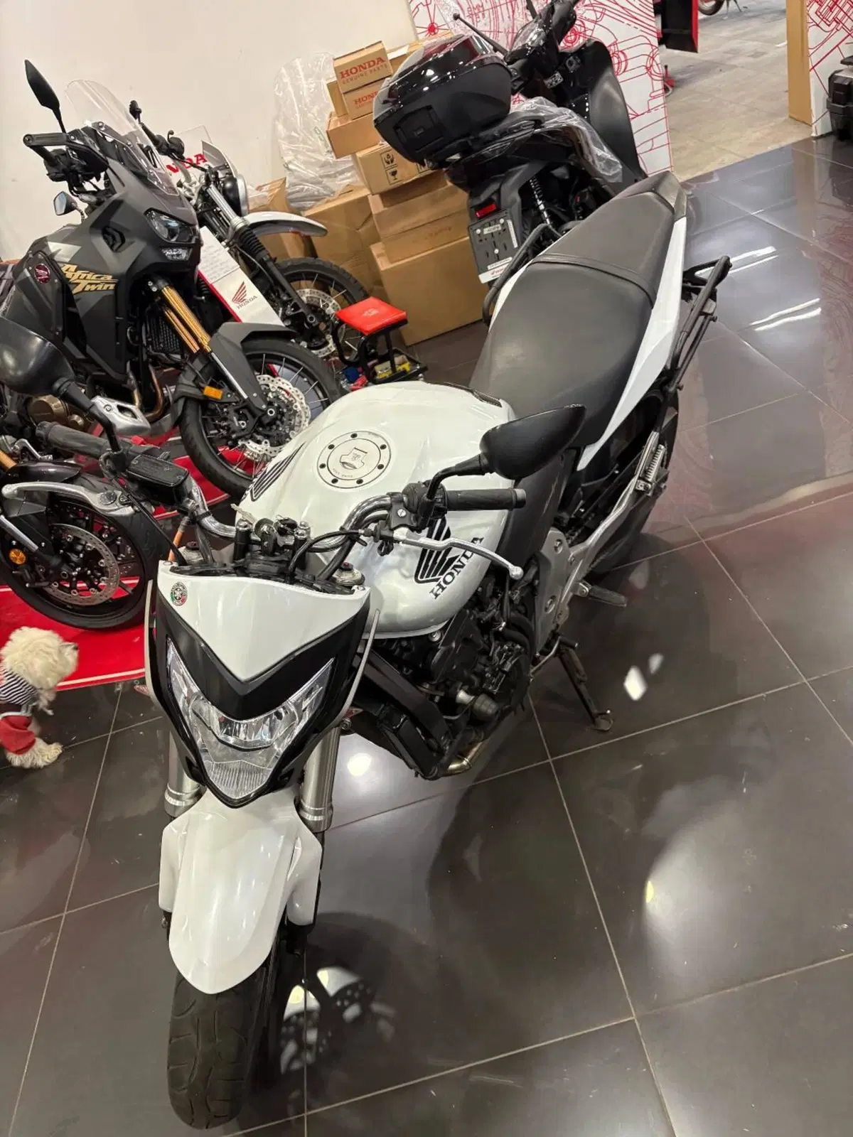 Honda Hornet 600 (2011 - 13) (4)
