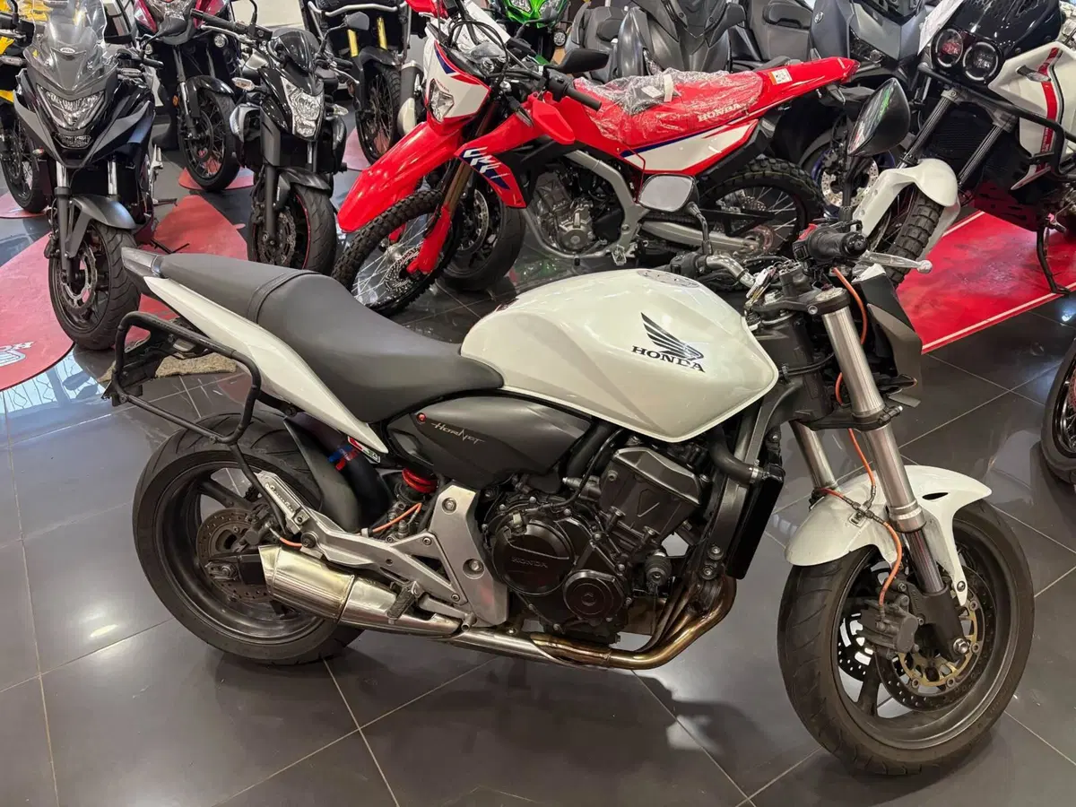 Honda Hornet 600 (2011 - 13) (6)