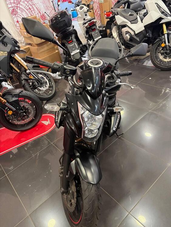 Kawasaki ER-6N ABS (2012 - 16) (3)