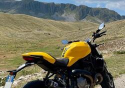 Ducati Monster 821 (2018 - 20) usata