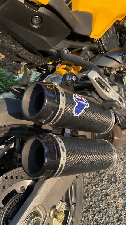 Ducati Monster 821 (2018 - 20) (3)