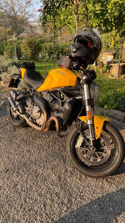 Ducati Monster 821 (2018 - 20) (4)