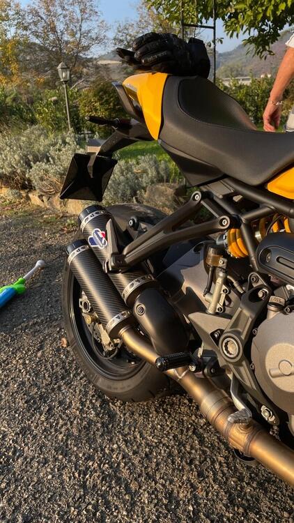 Ducati Monster 821 (2018 - 20) (5)