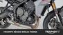 Triumph Tiger Sport 660 (2022 - 24) (18)