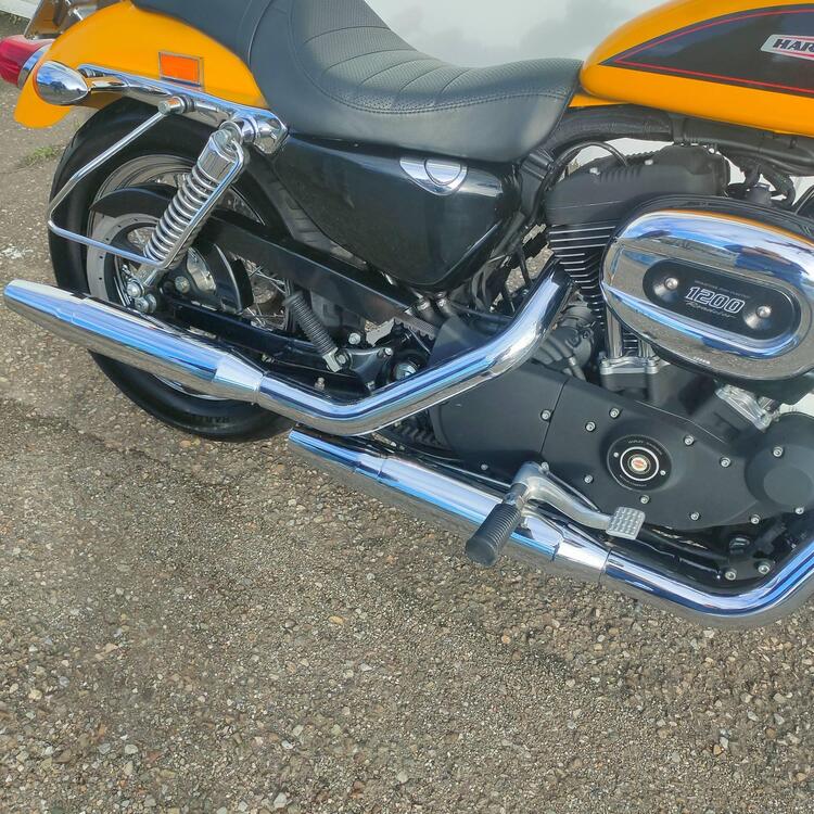 Harley-Davidson 1200 Custom (2007 - 13) - XL 1200C (2)