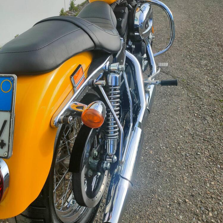 Harley-Davidson 1200 Custom (2007 - 13) - XL 1200C (3)