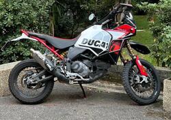 Ducati DesertX Rally (2024 - 25) usata
