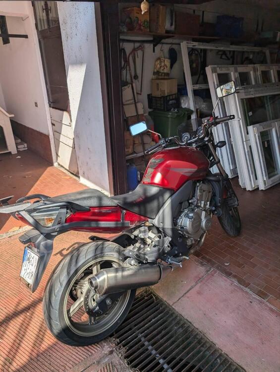 Honda CBF 600 N (2005- 11) (2)