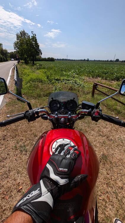 Honda CBF 600 N (2005- 11) (5)