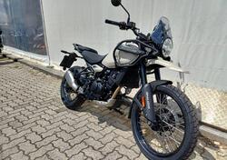 Royal Enfield Himalayan 450 (2024 - 25) usata