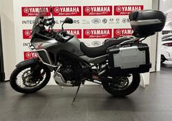 Honda Transalp XL750 (2023 - 24) usata