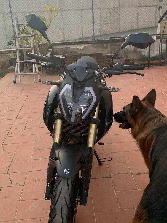 Keeway Motor RKF 125 (2021 - 24)