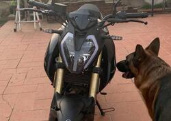 Keeway Motor RKF 125 (2021 - 24) usata