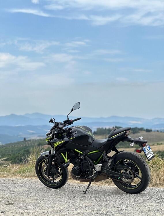 Kawasaki Z 650 Performance (2020)