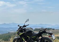 Kawasaki Z 650 Performance (2020) usata
