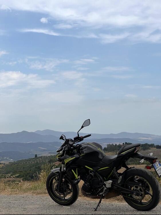 Kawasaki Z 650 Performance (2020) (3)