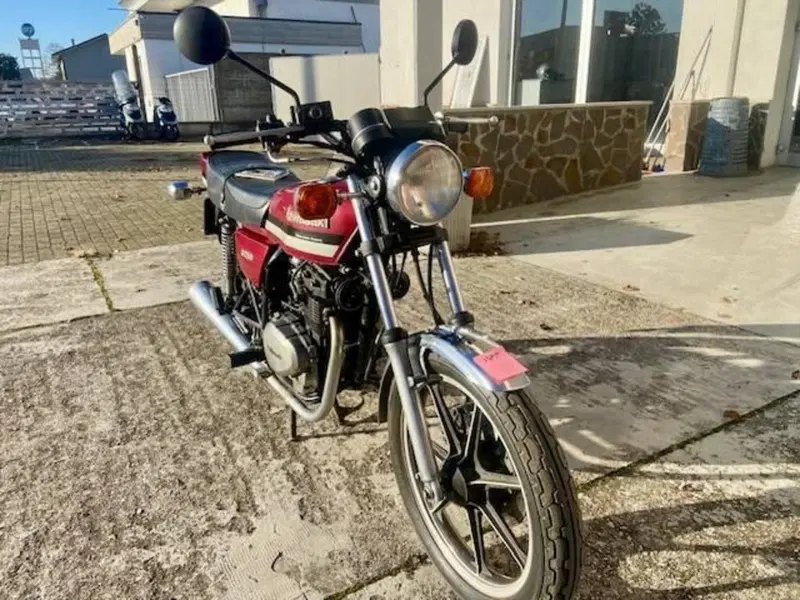 Kawasaki Z 250  (2)