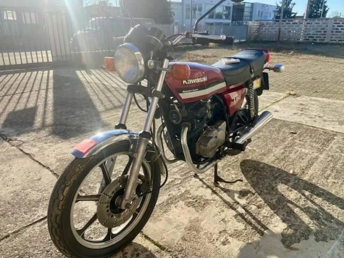 Kawasaki Z 250  (3)