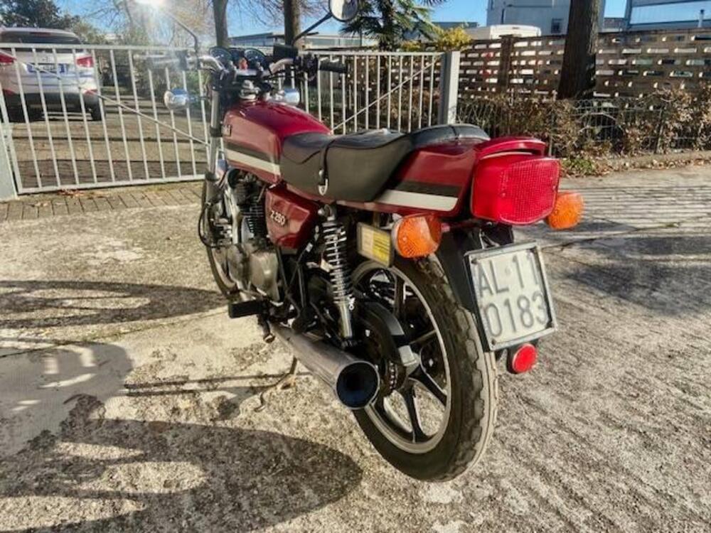 Kawasaki Z 250  (4)