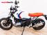 Bmw R nineT Urban GS (2021 - 24) (6)