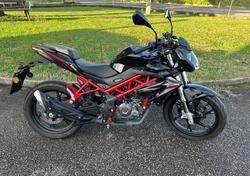 Benelli BN 125 (2021 - 25) usata