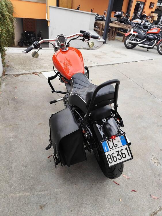 Harley-Davidson 883 Custom (2001 - 05) - XL 53C (2)