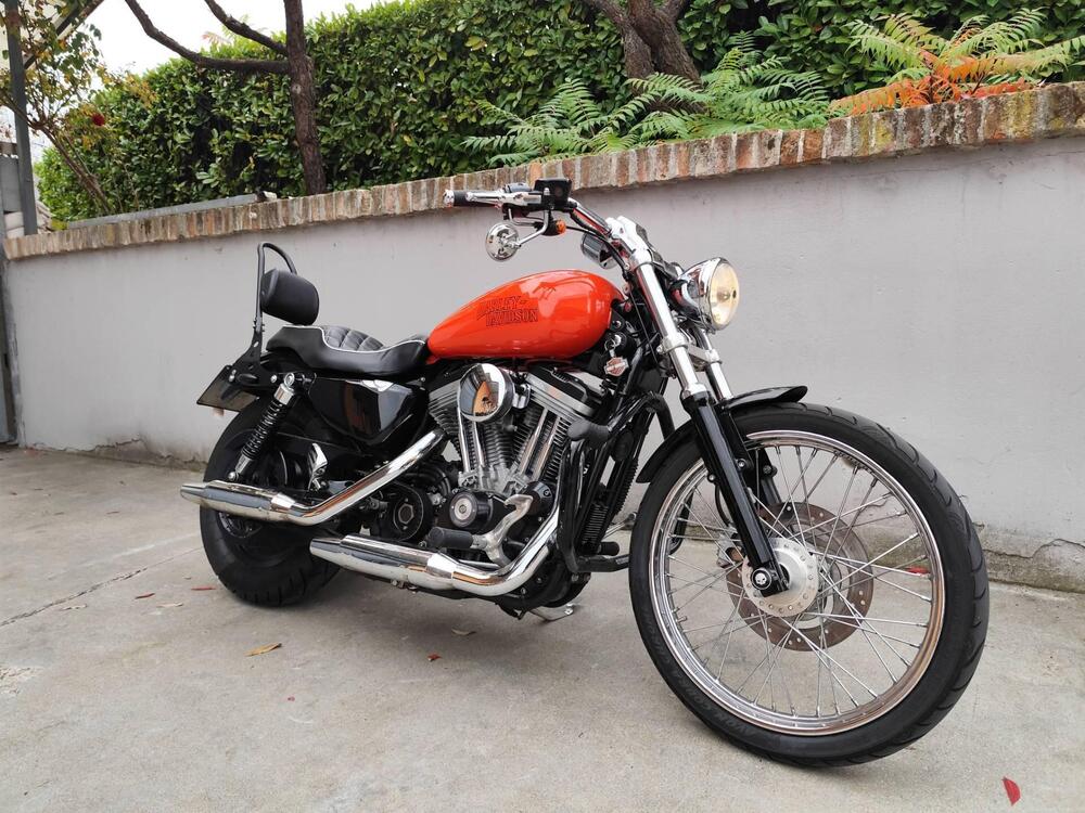 Harley-Davidson 883 Custom (2001 - 05) - XL 53C (3)