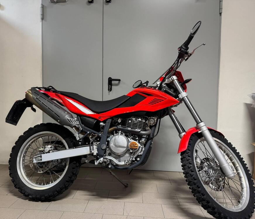 Betamotor Alp 4.0 (2008 - 17)