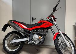 Betamotor Alp 4.0 (2008 - 17) usata