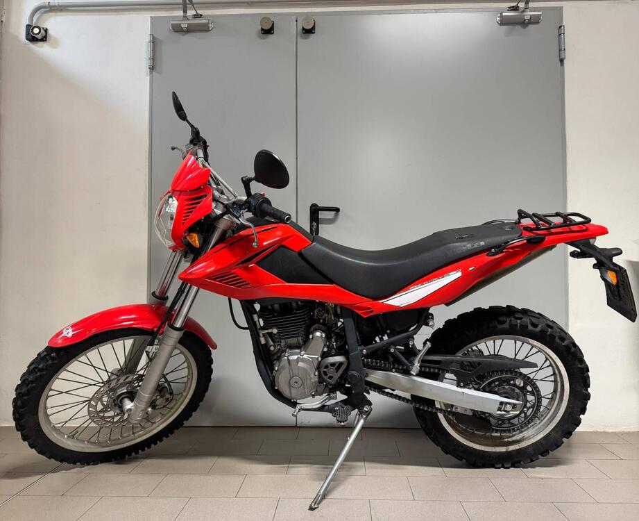 Betamotor Alp 4.0 (2008 - 17) (2)