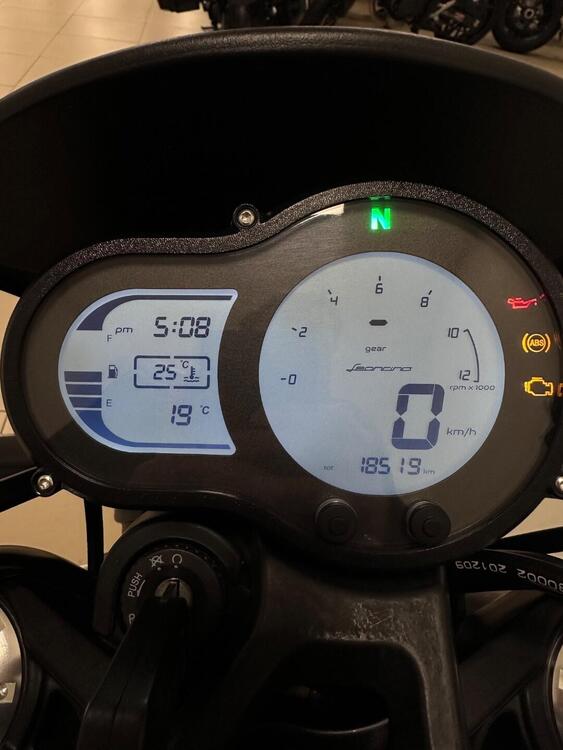 Benelli Leoncino 500 (2021 - 25) (3)