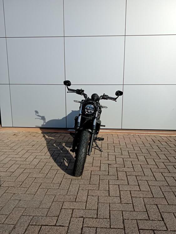 Kawasaki Eliminator 500 (2024 - 26) (3)