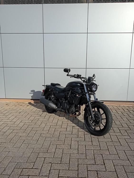 Kawasaki Eliminator 500 (2024 - 26) (5)