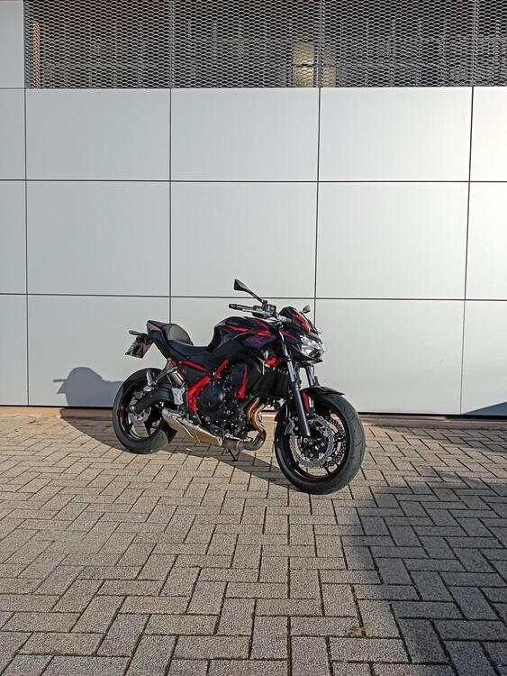 Kawasaki Z 650 (2025 - 26) (5)