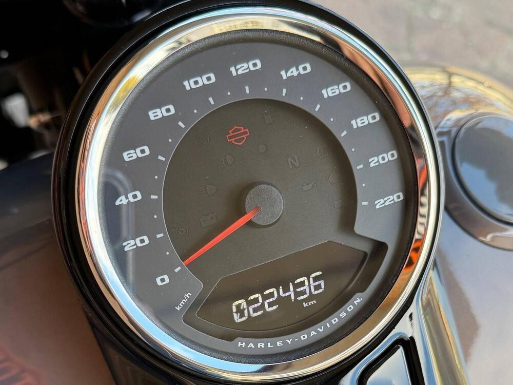 Harley-Davidson Fat Boy 114 (2021 - 24) (3)